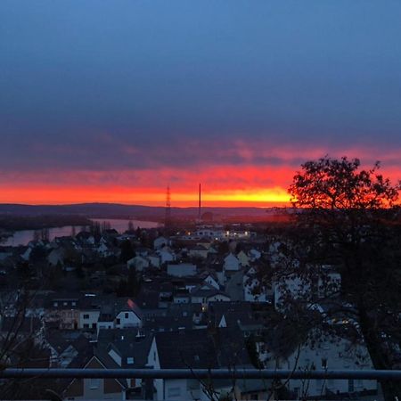 Zum Schoenen Ausblick Weissenthurm 외부 사진