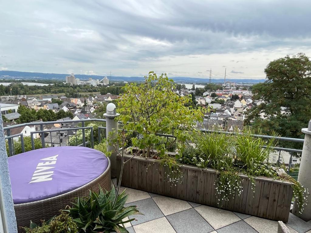 Zum Schoenen Ausblick Weissenthurm 외부 사진